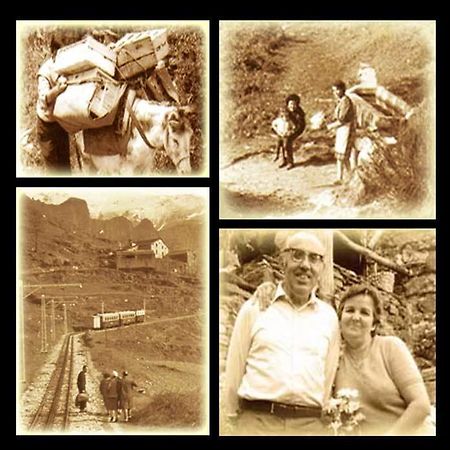 Masia Can Constans Queralbs Dış mekan fotoğraf