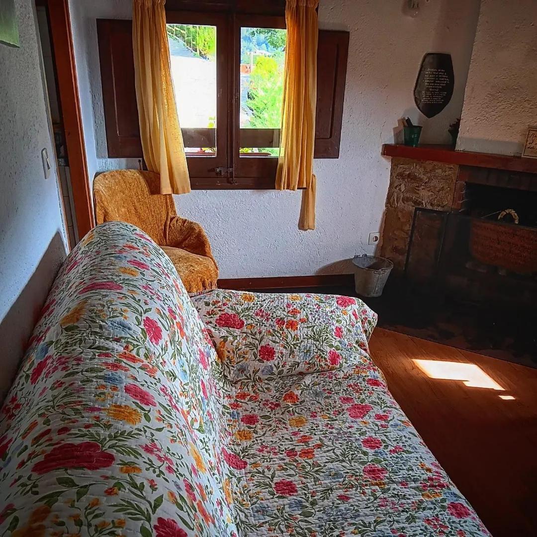 Masia Can Constans Queralbs Dış mekan fotoğraf