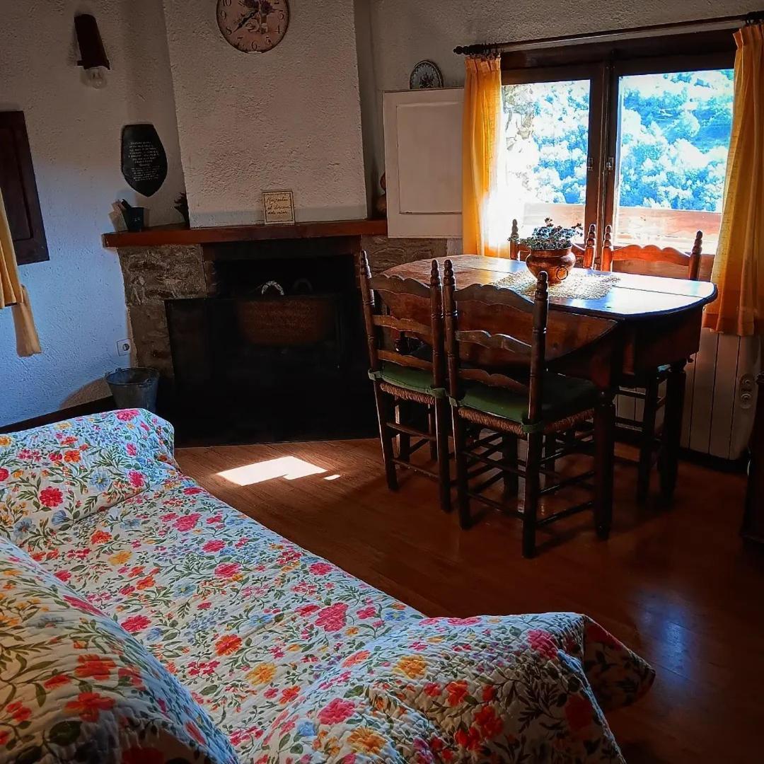 Masia Can Constans Queralbs Dış mekan fotoğraf
