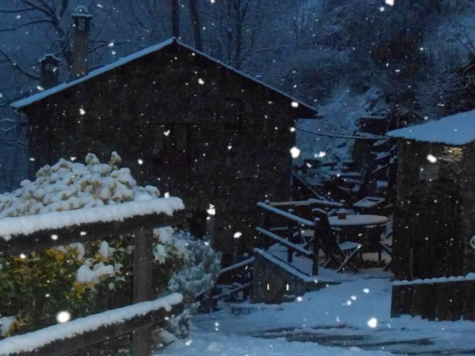 Masia Can Constans Queralbs Dış mekan fotoğraf