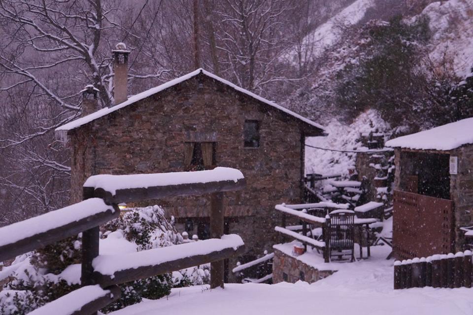 Masia Can Constans Queralbs Dış mekan fotoğraf